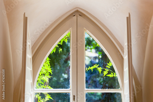 View in a garden through a decorative window photo