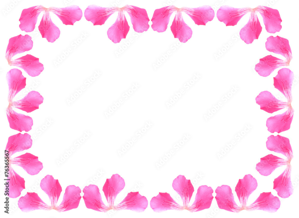 floral background of pink flowers