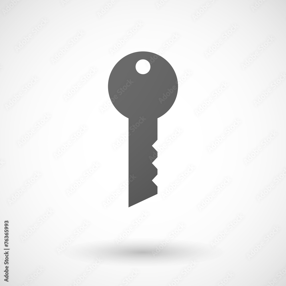 key icon on white background key icon on white background
