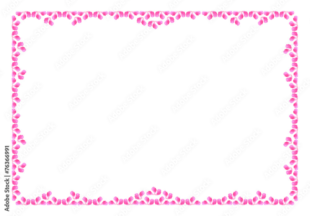 floral background of pink flowers