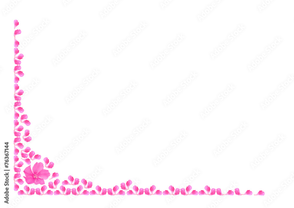 floral background of pink flowers