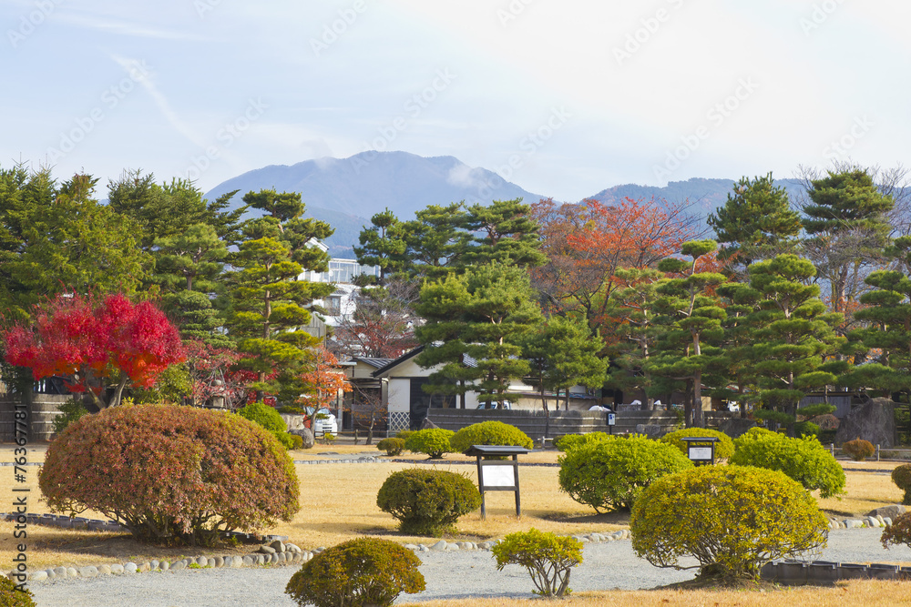 Autumn Japanese garden