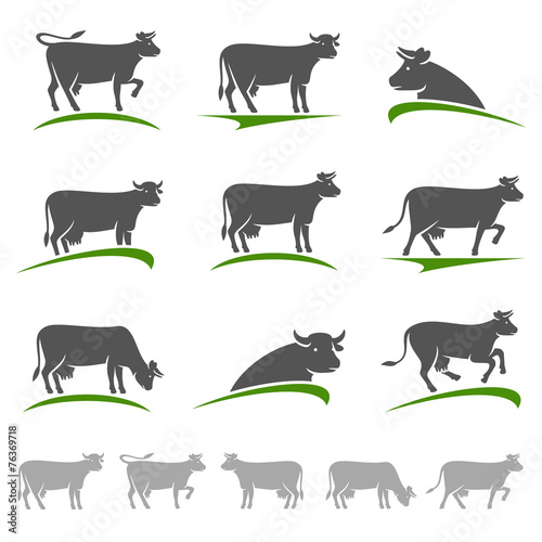 Cow set. Vector