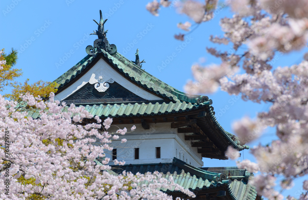 Cherry blossoms at the Hirosaki Castle Park in Hirosaki, Aomori, Cherry blossoms at the Hirosaki Castle Park in Hirosaki, Aomori,