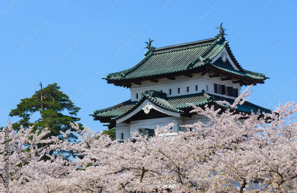 Cherry blossoms at the Hirosaki Castle Park in Hirosaki, Aomori, Cherry blossoms at the Hirosaki Castle Park in Hirosaki, Aomori,