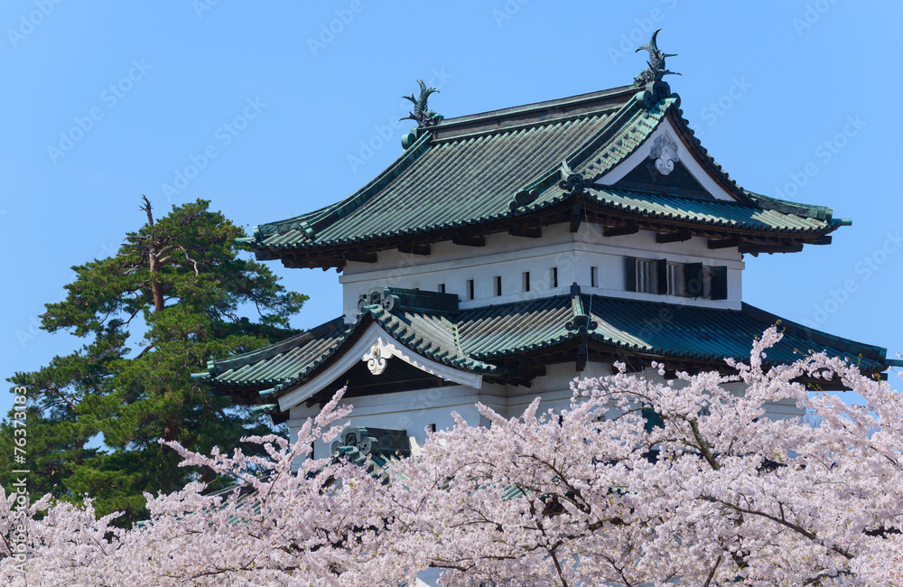 Cherry blossoms at the Hirosaki Castle Park in Hirosaki, Aomori, Cherry blossoms at the Hirosaki Castle Park in Hirosaki, Aomori,