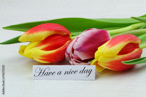 Have a nice day card with three colorful tulips