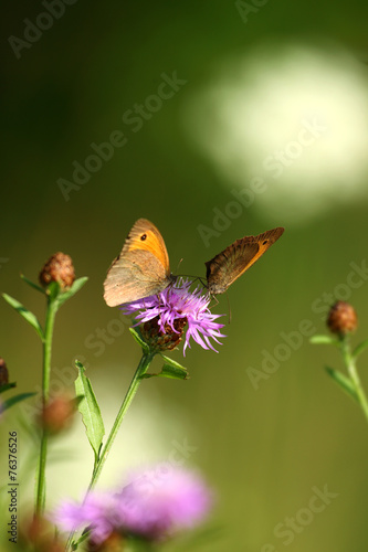 Sommerzeit