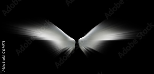 Angel wings isolated on the black background