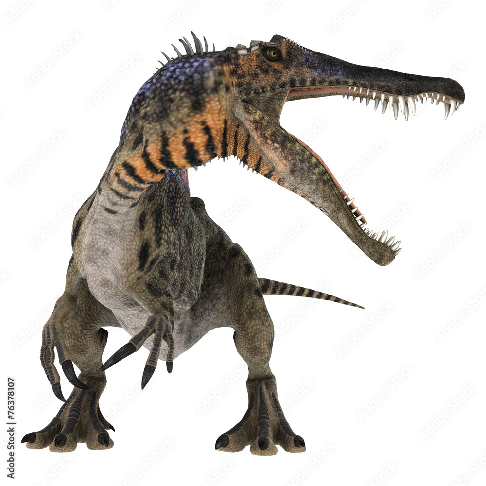 Naklejka Spinozaur dinozaura
