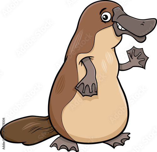 platypus animal cartoon illustartion