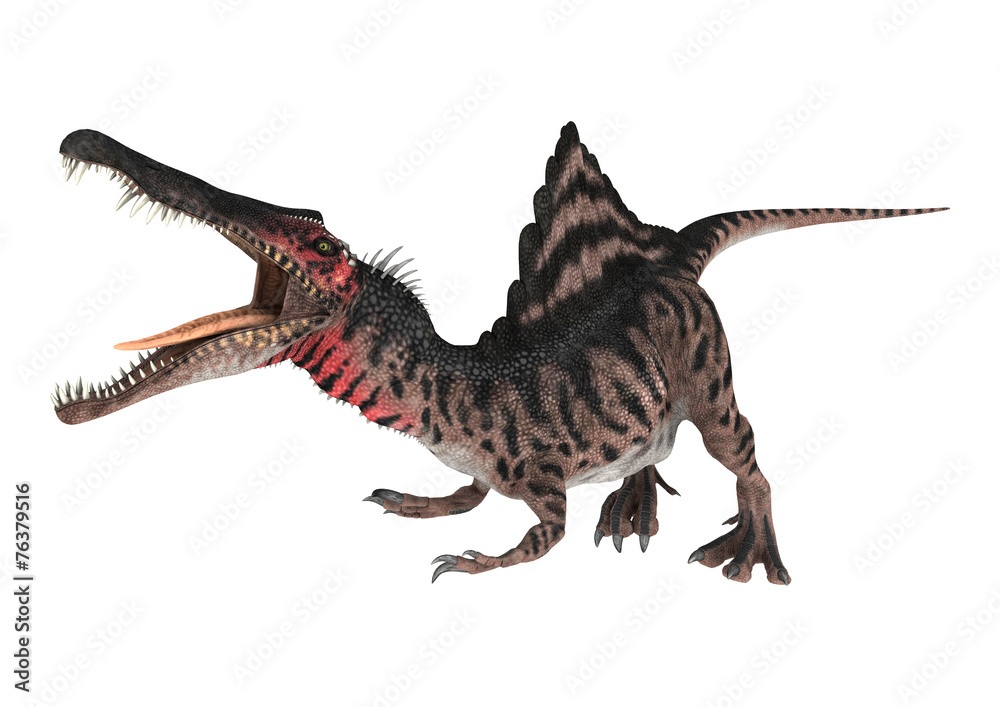 Fototapeta premium Dinosaur Spinosaurus