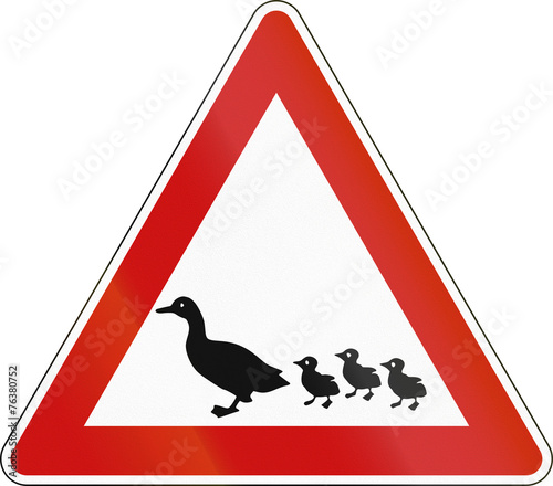 German sign warning about ducks crossing the road photo