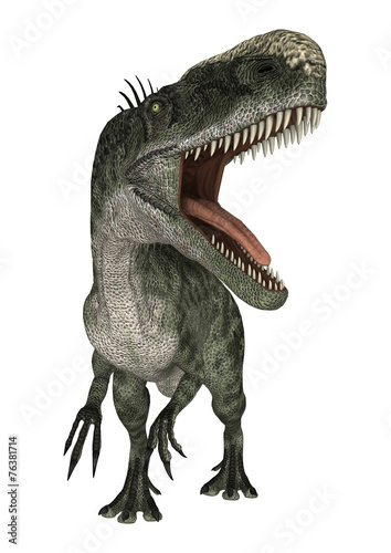 Fototapeta Naklejka Na Ścianę i Meble -  Dinosaur Monolophosaurus