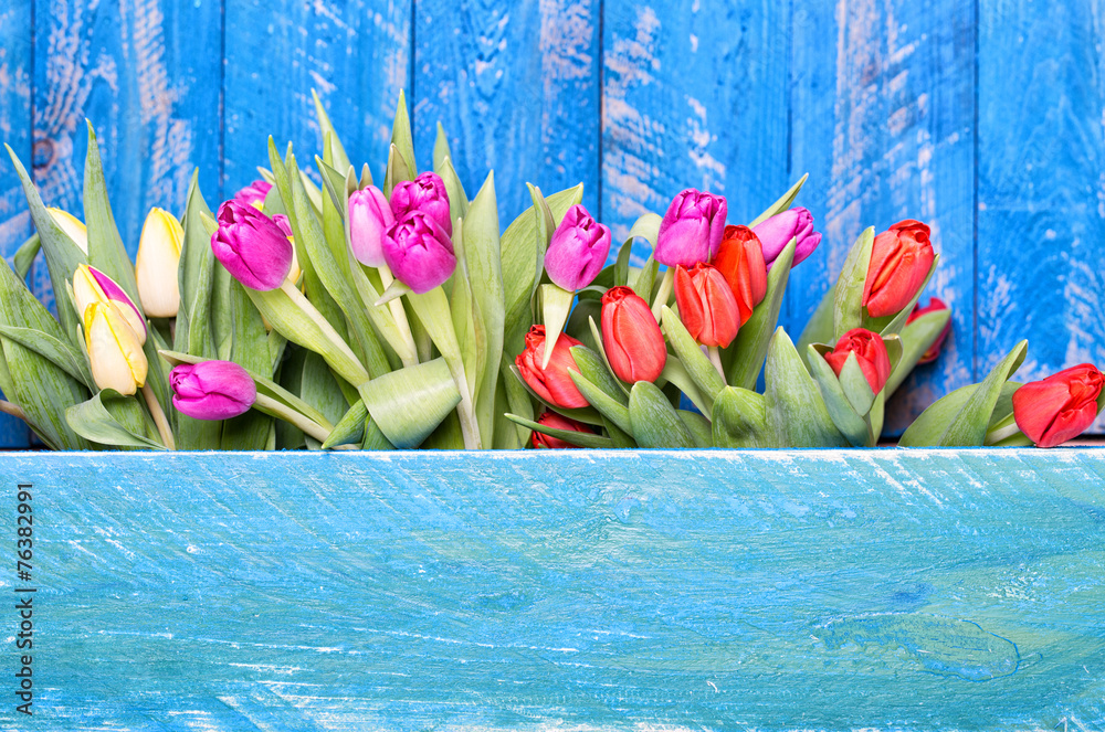 Frühling Blumen Holzhintergrund - obrazy, fototapety, plakaty 