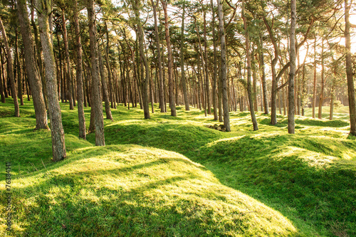 the bomb craters of the battlefield at Vimy France WW1