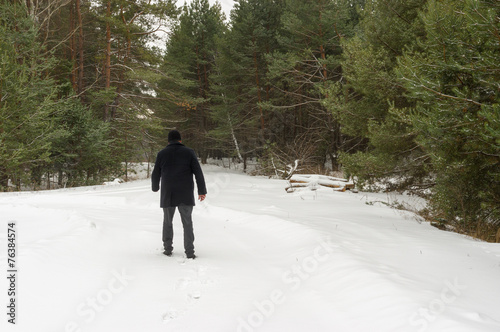 Lonely wanderer on the edge of winter piny forest photo