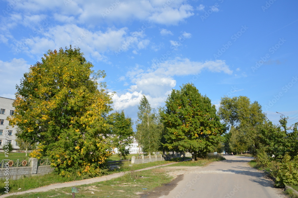 Брянская природа Брянская природа
