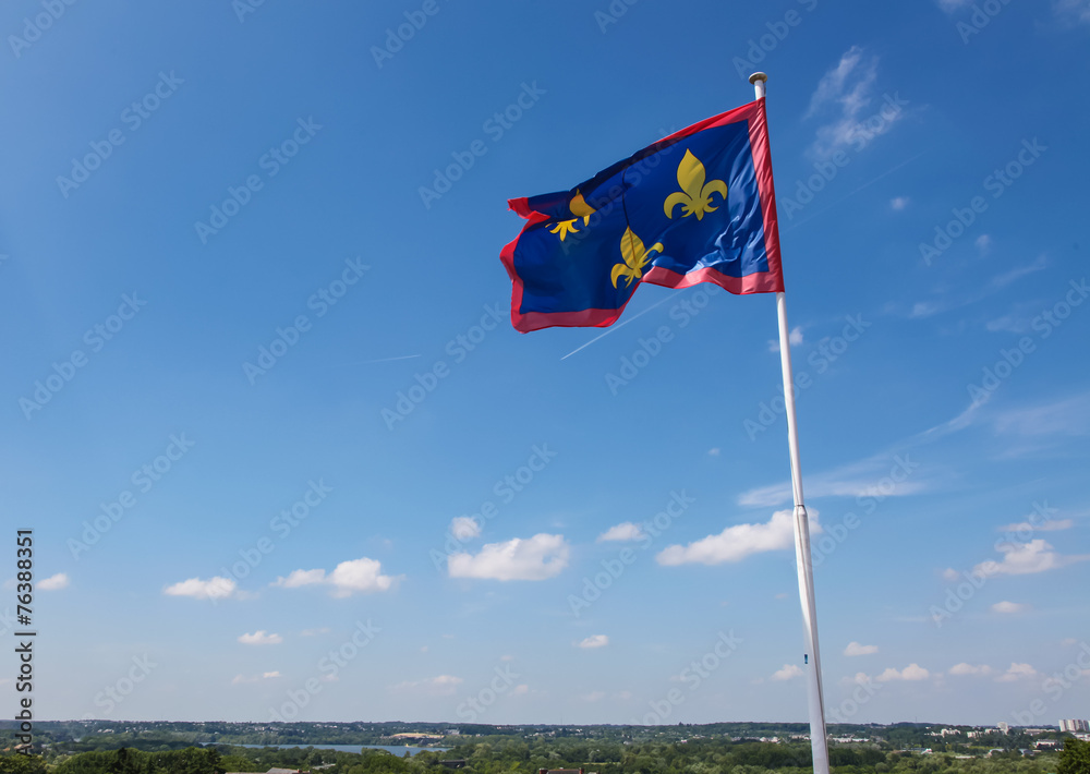 Fototapeta premium Fleurs-de-lis or Lilly flag at Angers, France