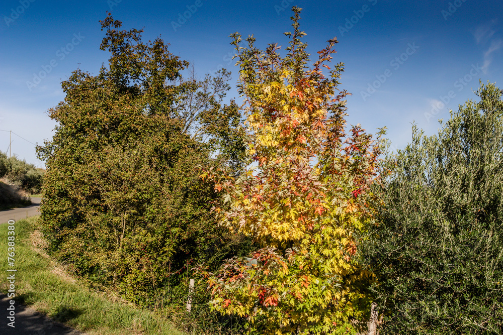 Fototapeta premium Cultivated fields under chalk badlands
