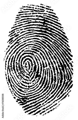 Fingerprint vector illustration