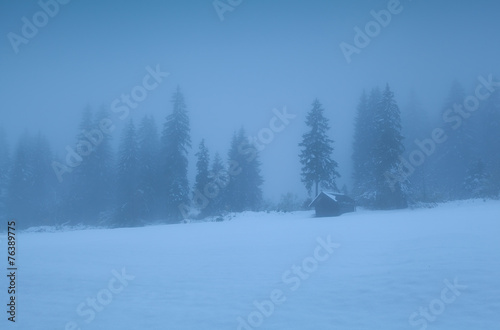 old hut in foggy alpine forest