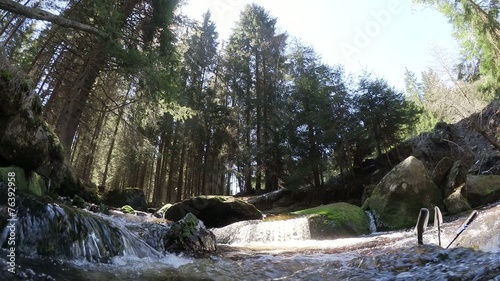 water stream in the woods