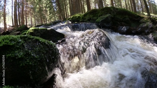 water stream in the woods
