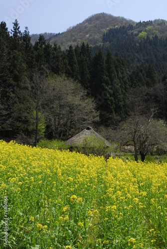 山里の春 © kyaimu426