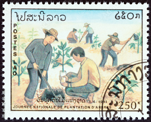 Planting saplings (Laos 1991)