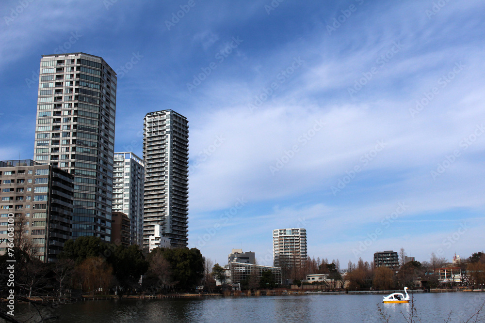 Town with a pond and sky