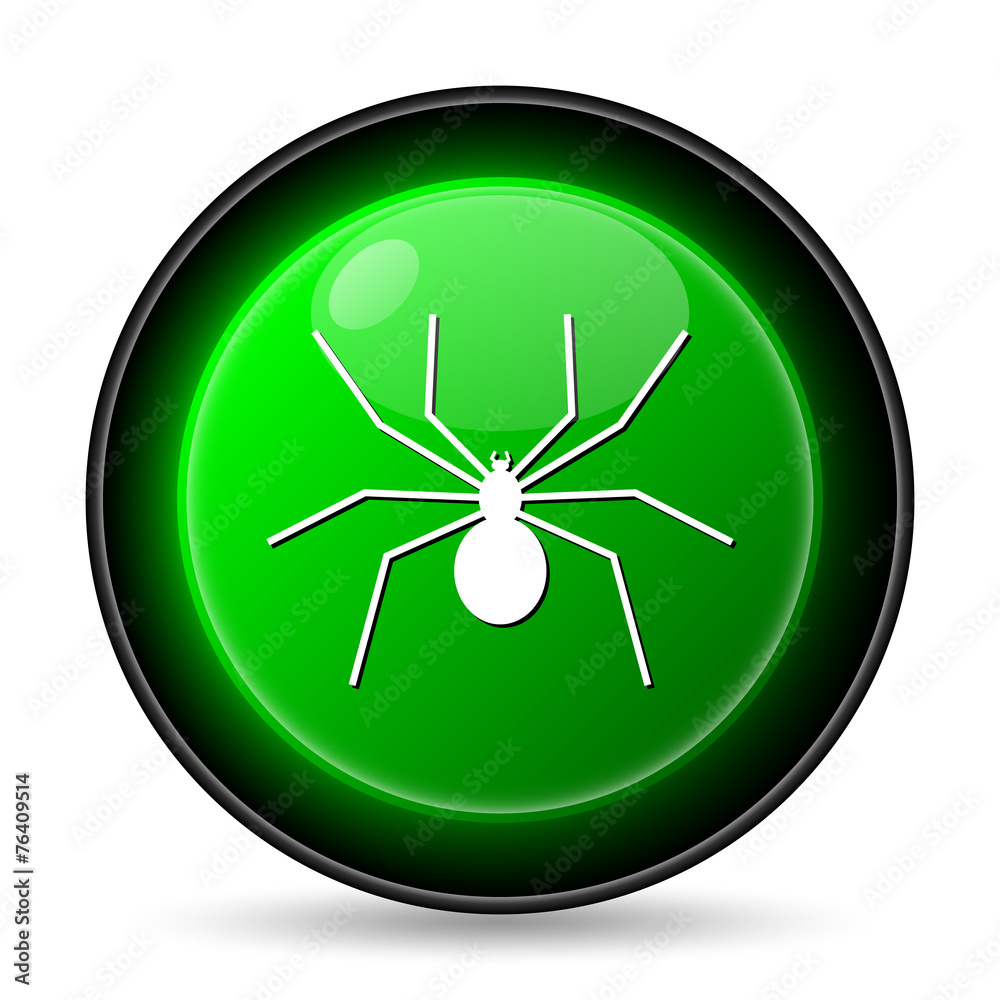 Spider icon