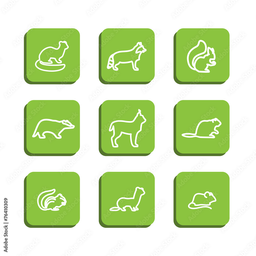 Forest animals Forest animals