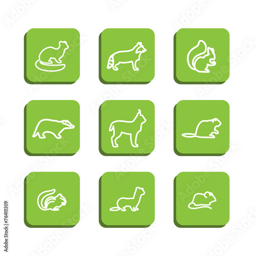 Forest animals