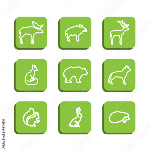 Forest animals