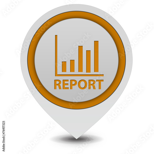Report pointer icon on white background