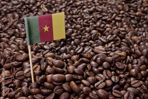 Flag of Cameroon sticking in coffee beans. series 