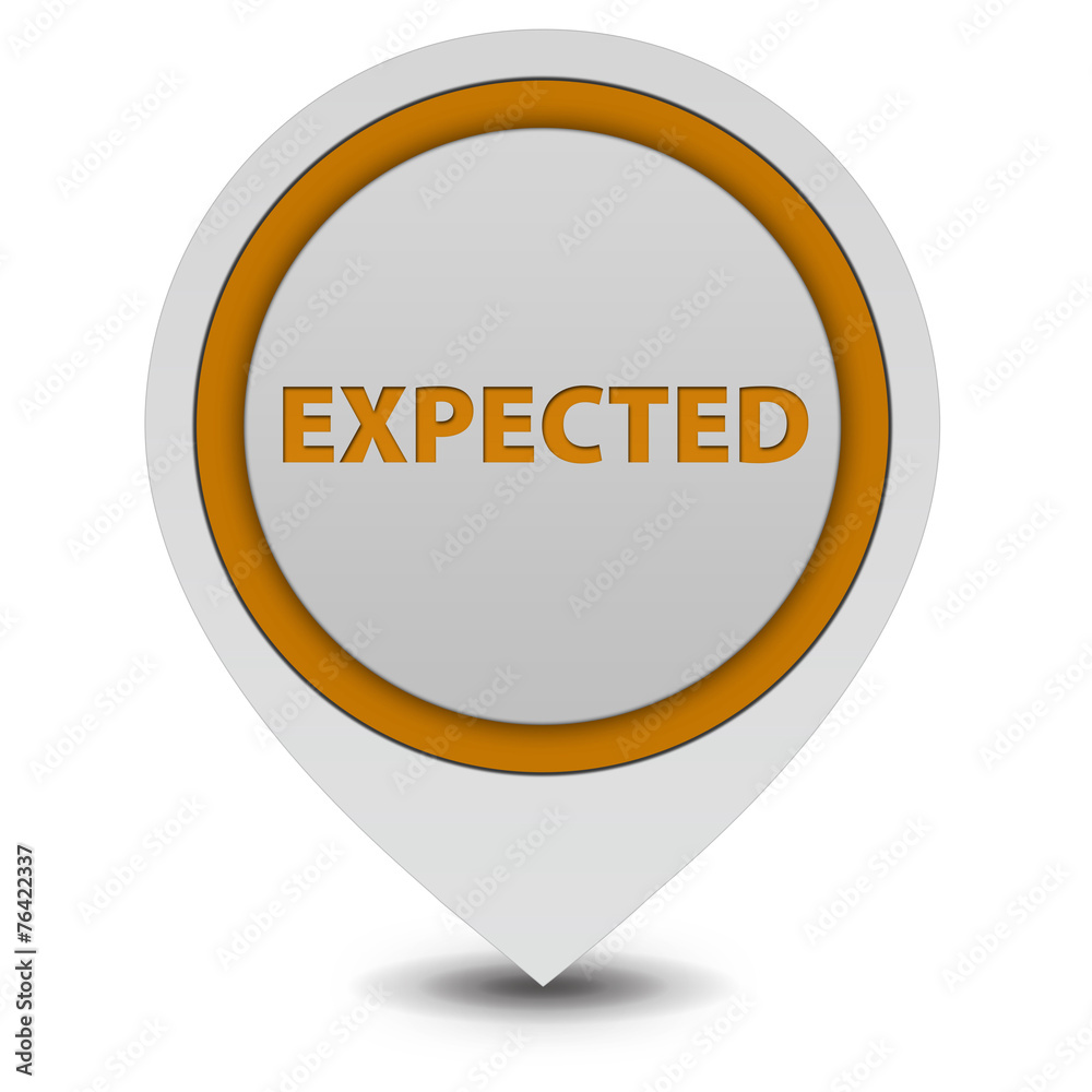 Expected pointer icon on white background Expected pointer icon on white background