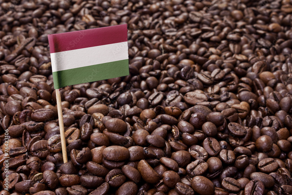 Flag of Hungary sticking in coffee beans.(series) Flag of Hungary sticking in coffee beans.(series)