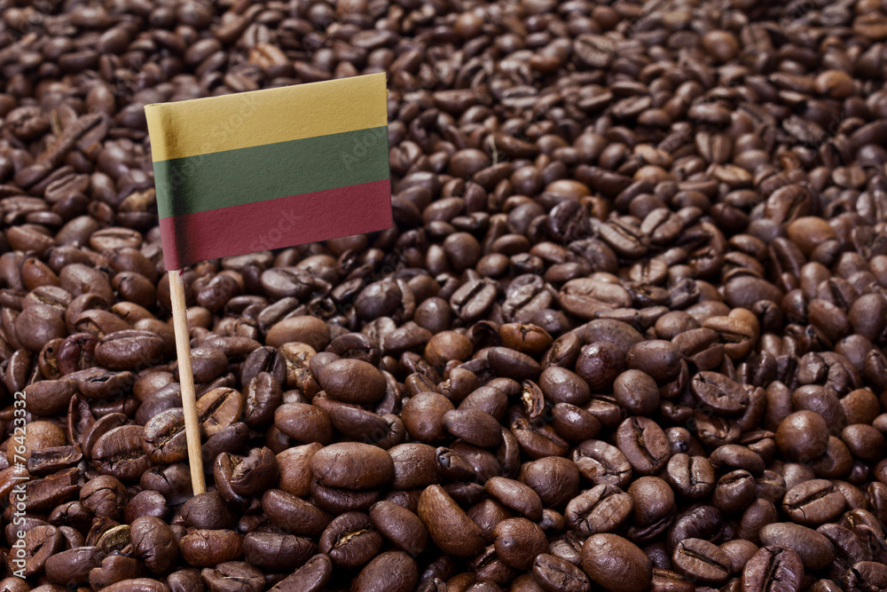 Fototapeta premium Flag of Lithuania sticking in coffee beans.(series)