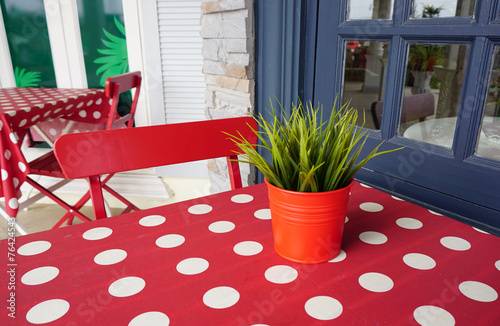 Green plants on red pot photo