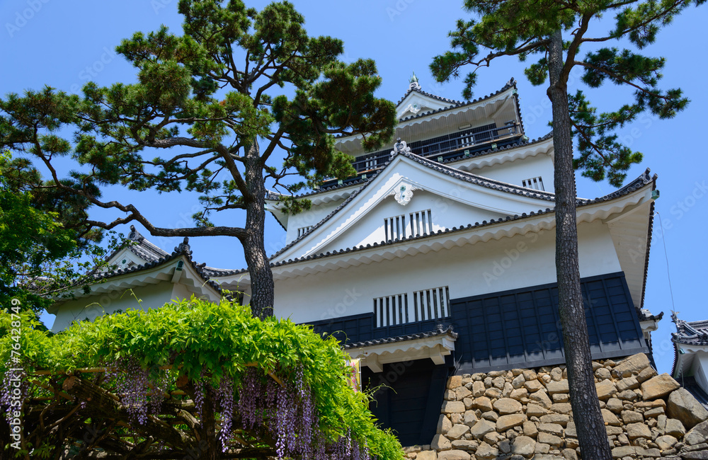 Okazaki Castle in Aichi, Japan