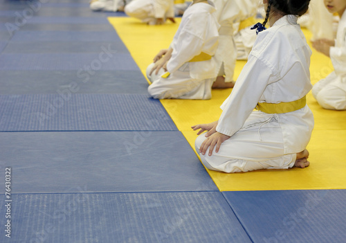 Girl in kimono for martial arts sitting on tatami