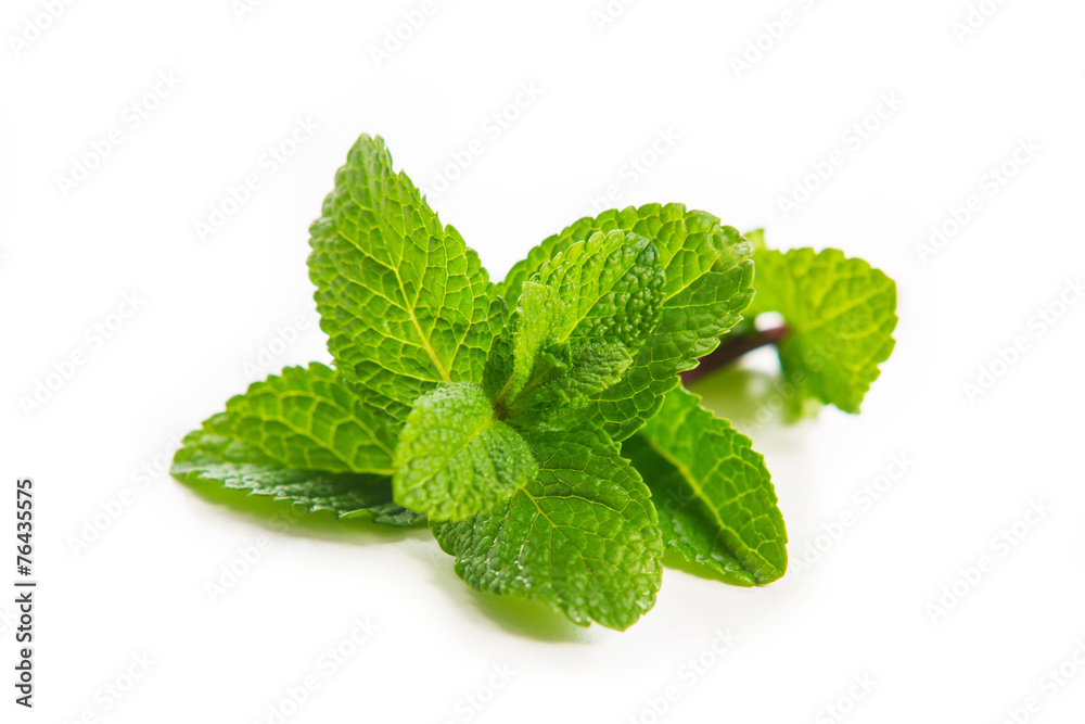 mint mint