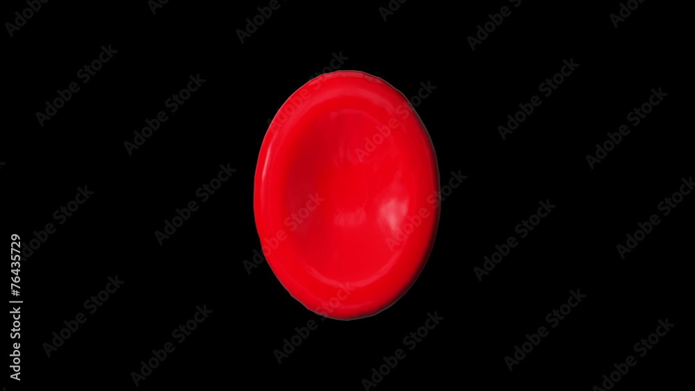 Single Red Blood Cell rotating seamless loop Single Red Blood Cell rotating seamless loop