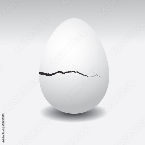 Egg cracked