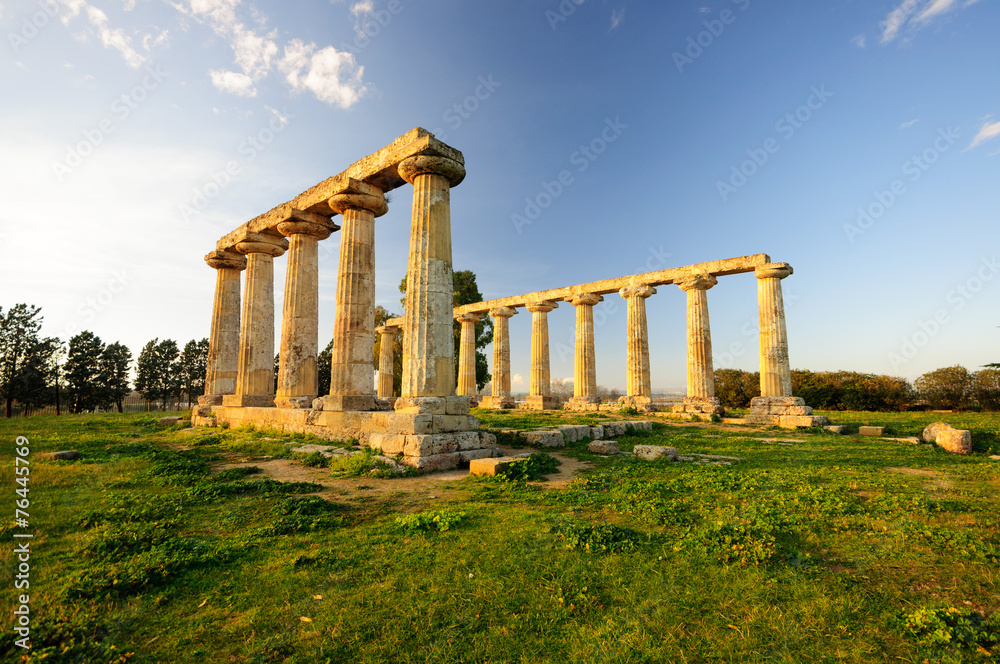 Metaponto Santuario Templio di Hera