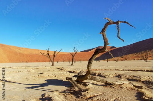Landscape of Dead Vlei desert, Namibia, South Africa