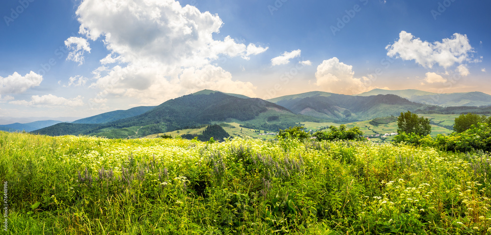 meadow with flowers in mountains at sunrise
