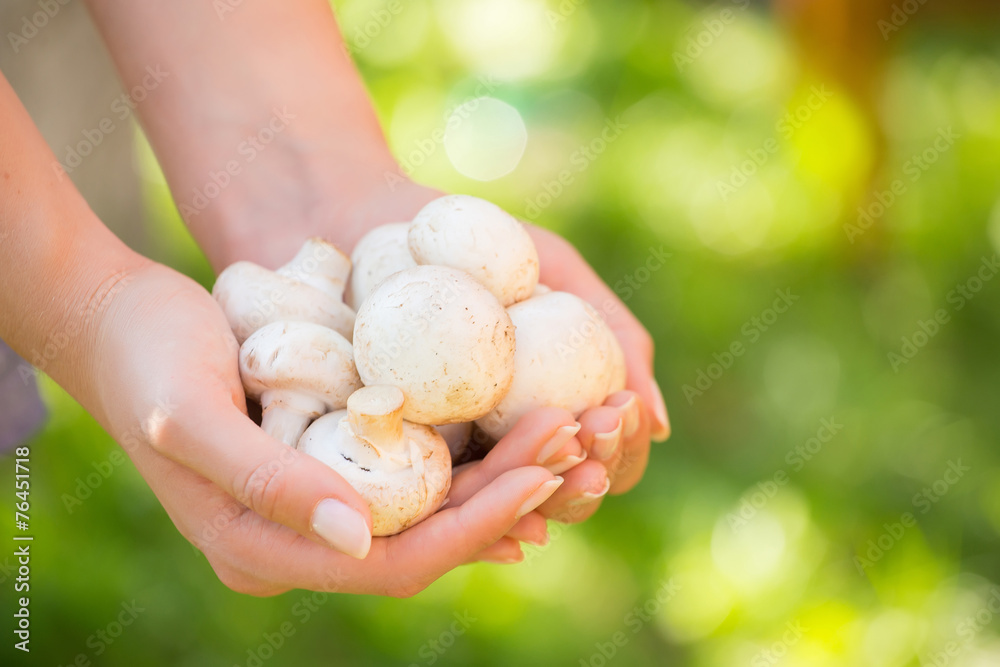 Woman holding mushroom. Concept - Simple Life. green background Woman holding mushroom. Concept - Simple Life. green background